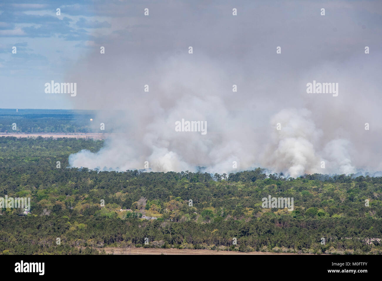 Feuer lodert im Wald in der Nähe von Küstengewässern, South Carolina Stockfoto