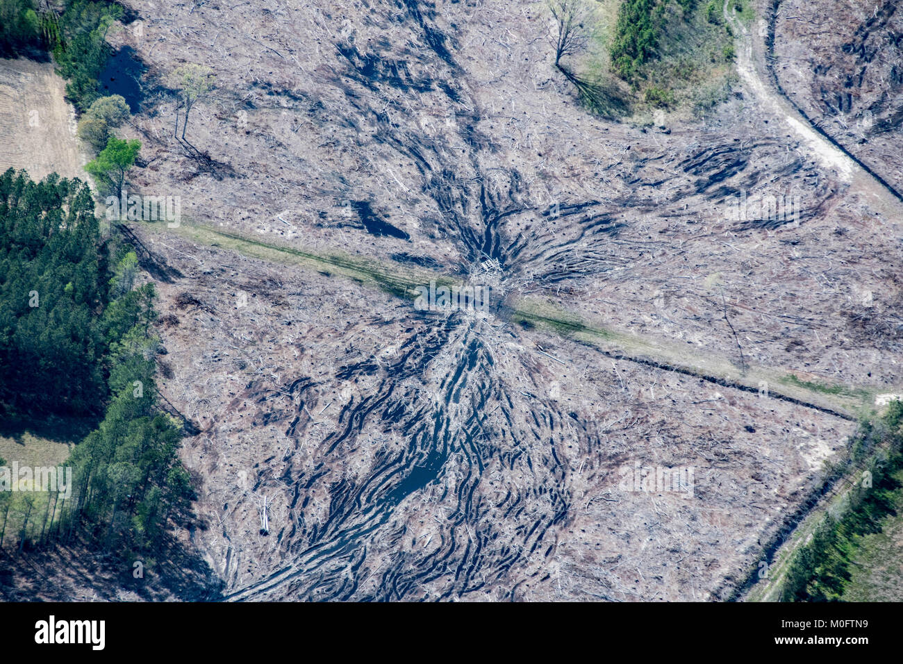 Antenne des vor Kurzem gelöscht Wald zeigt das was in North Carolina Stockfoto