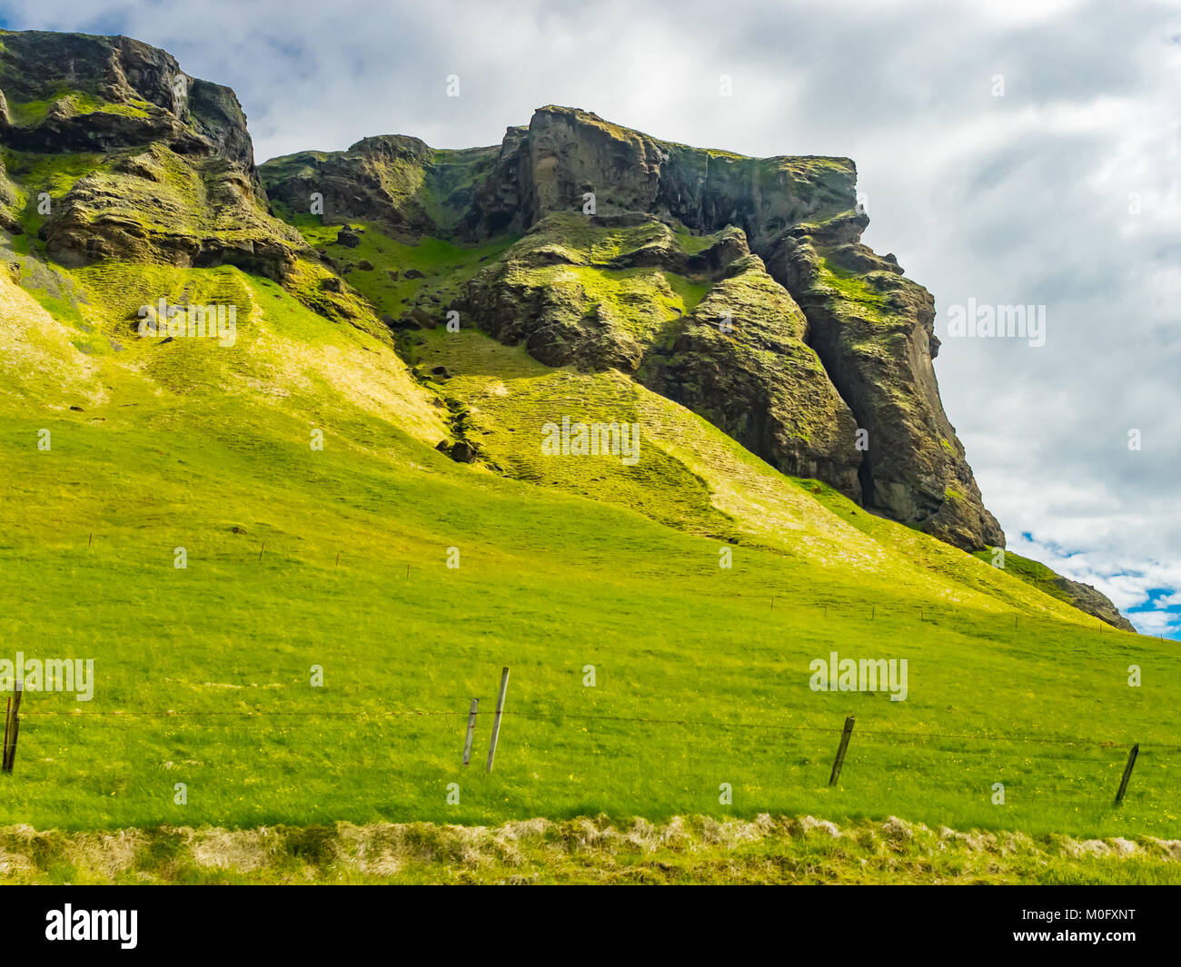 Natürliche isländische Landschaft aus Fels Berg und der Bereich der gelben Blüten im Sommer Stockfoto