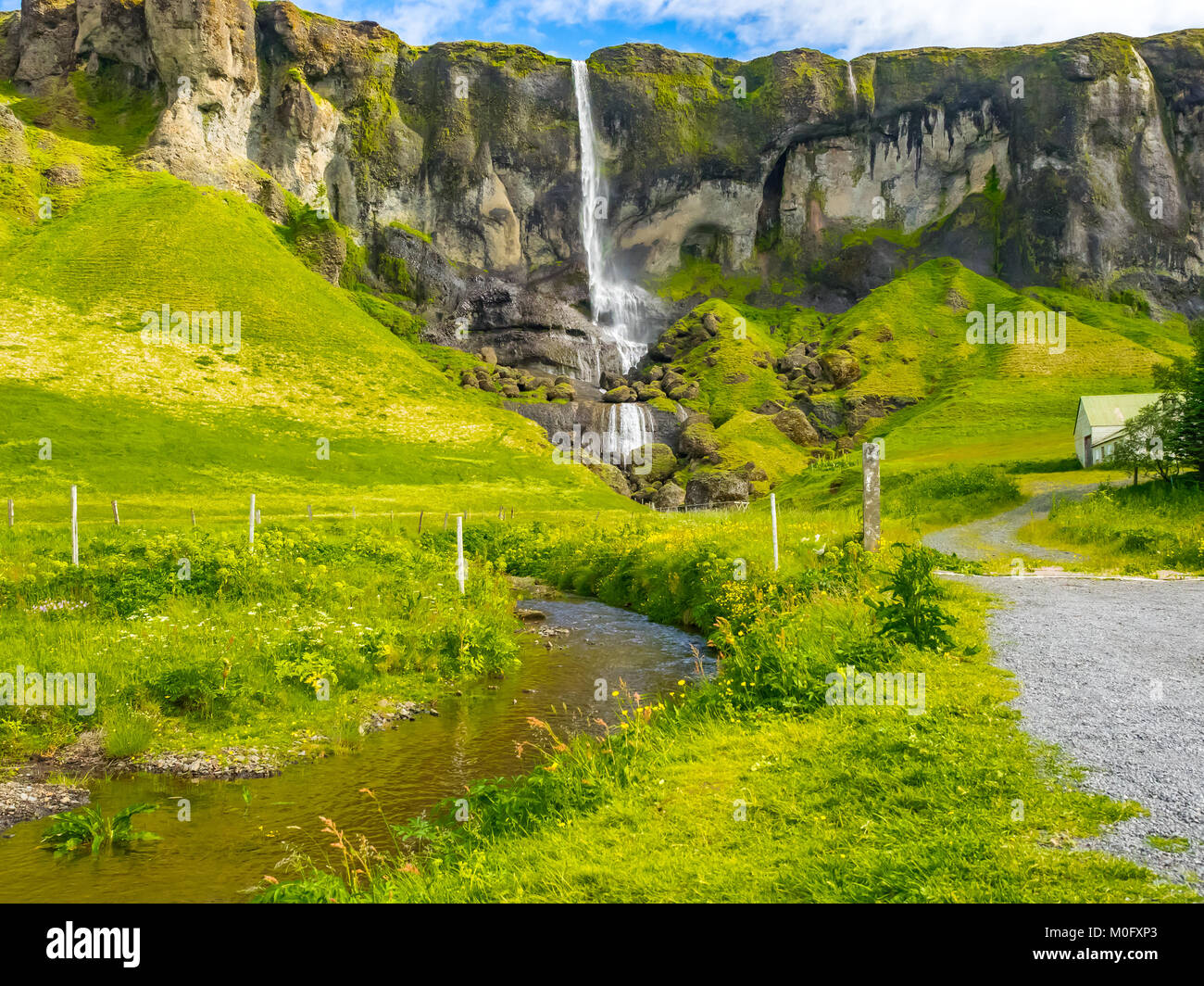 Angesichts der hohen Wasserfall und der gelbe Blumen in Island Stockfoto