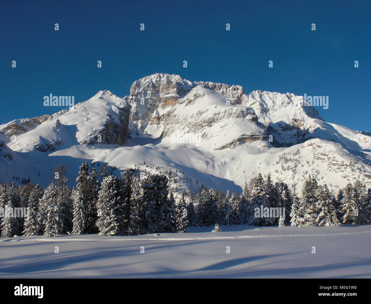 Cristallo, Dolomiten, Südtirol, Italien, Bergmassiv, tiefe Einschnitte, steile Felswände, Plateau, Notch, Boite Tals, Nadelwald Stockfoto