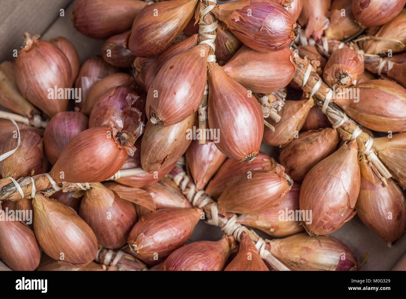 Frisch Schalotten bei Farmers Market Stockfoto