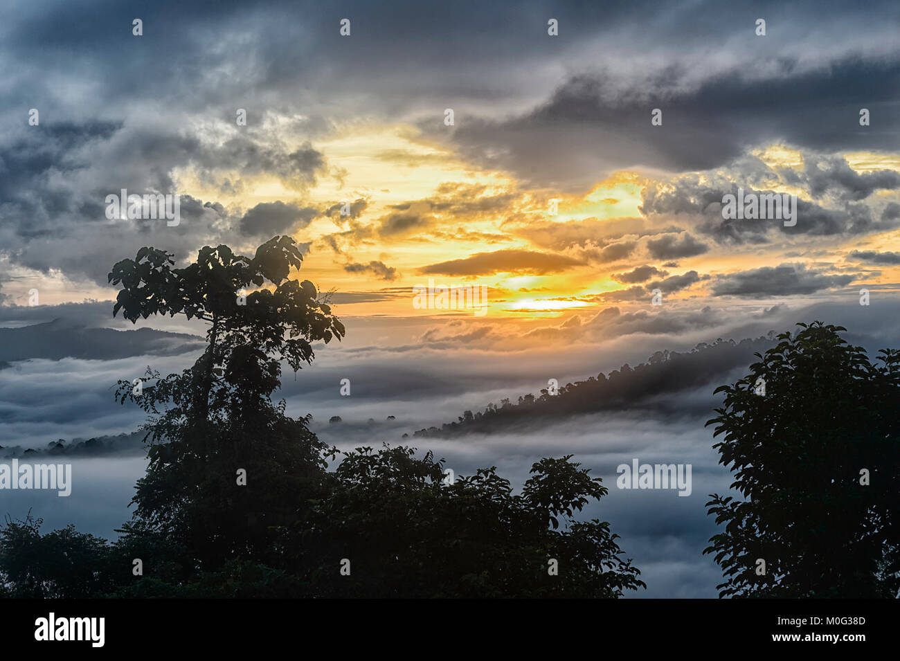 Atmosphärische Sonnenaufgang über die primären Regenwaldes, Danum Valley, Borneo, Sabah, Malaysia Stockfoto
