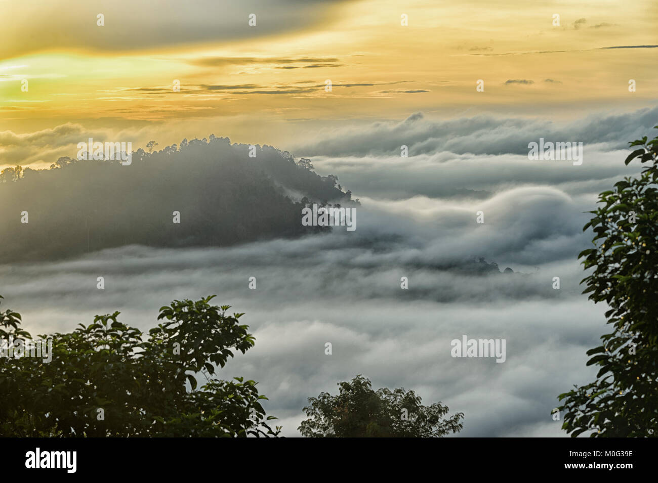 Atmosphärische Sonnenaufgang über die primären Regenwaldes, Danum Valley, Borneo, Sabah, Malaysia Stockfoto