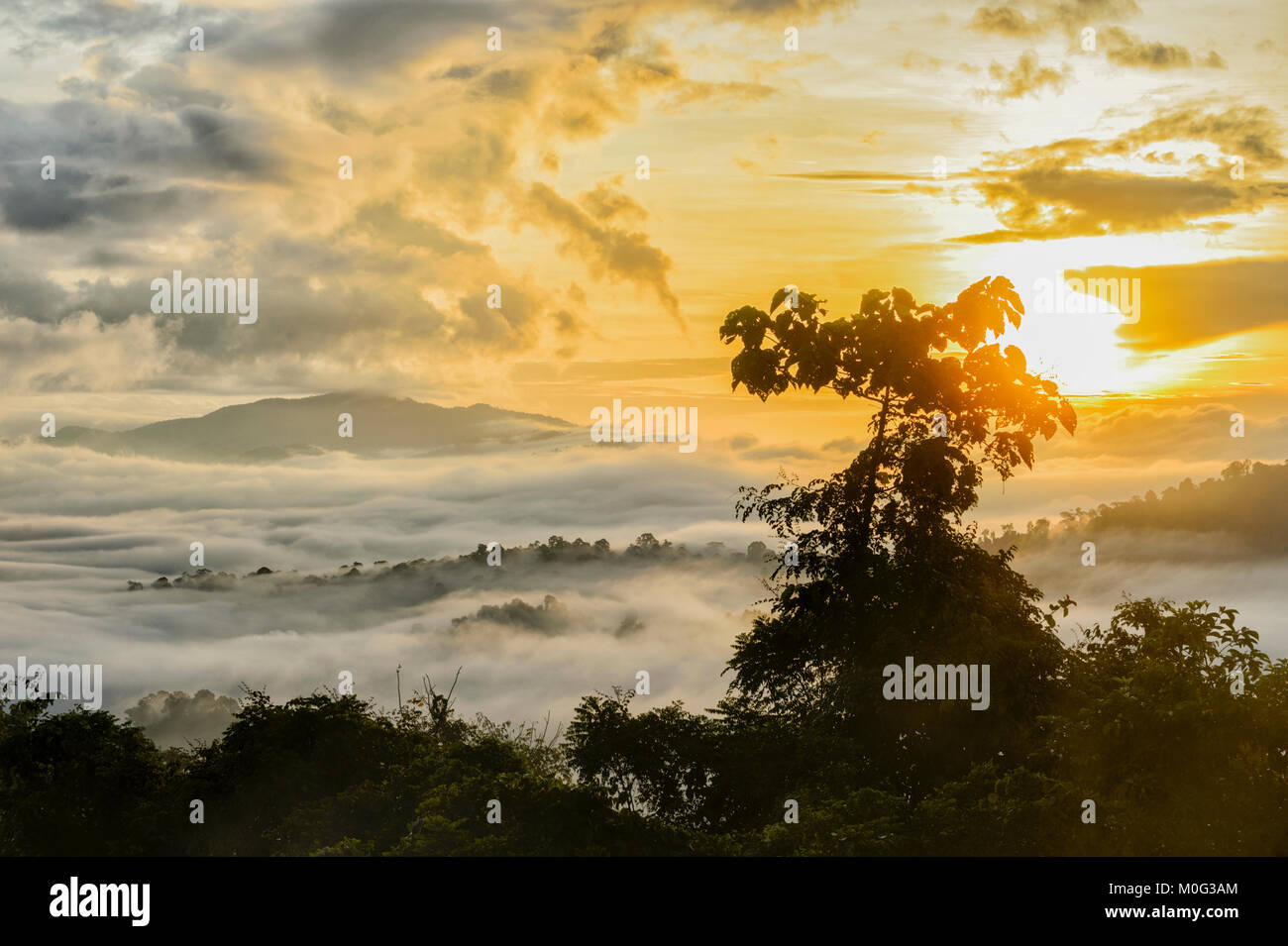Atmosphärische Sonnenaufgang über die primären Regenwaldes, Danum Valley, Borneo, Sabah, Malaysia Stockfoto