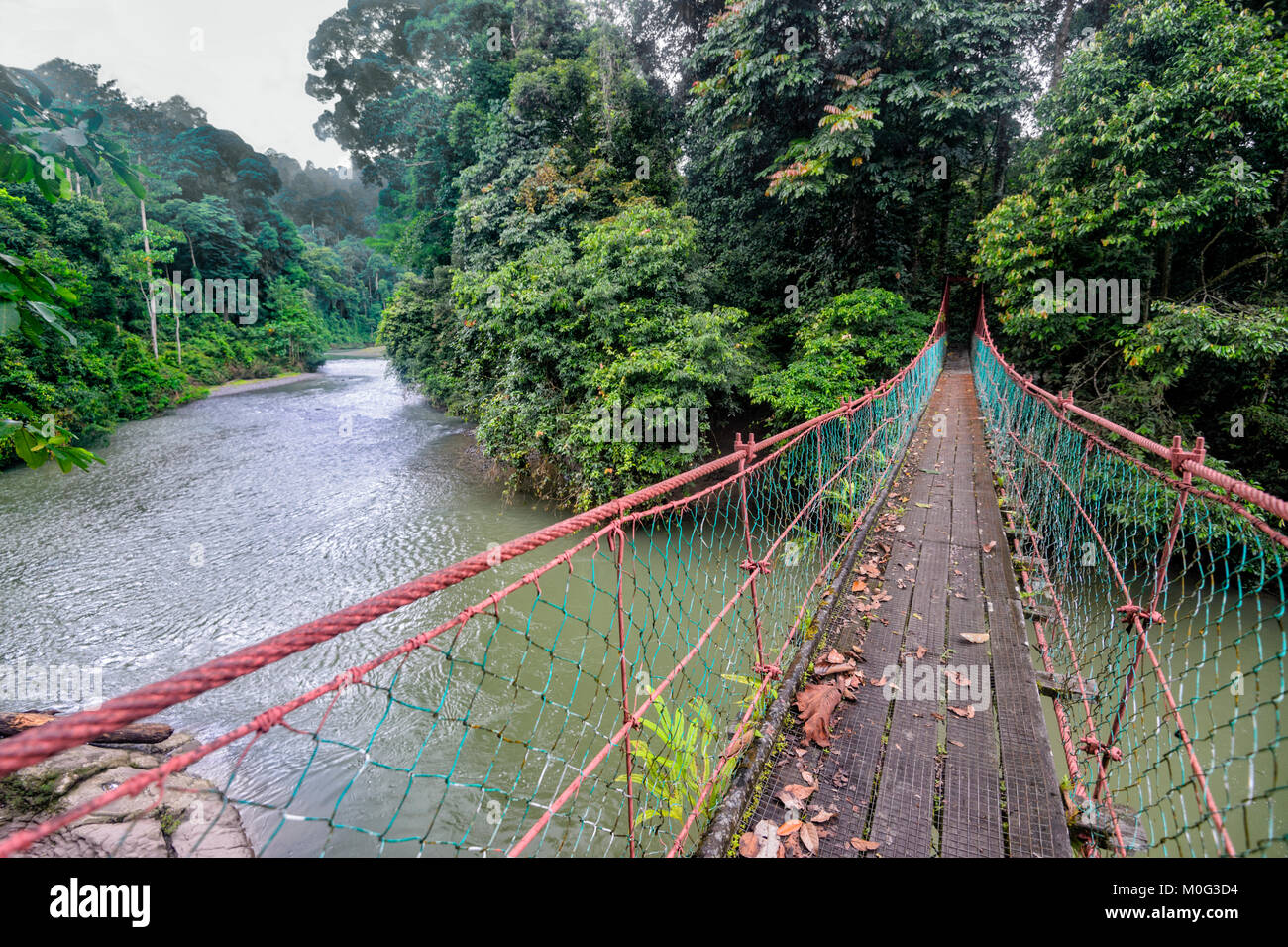 Gefederte Brücke über den Danum Fluss, Danum Valley, Borneo, Sabah, Malaysia Stockfoto