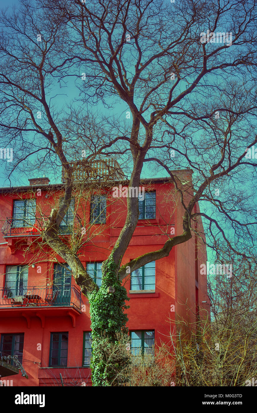 Toter Baum gegen Red Brick City House Stockfoto