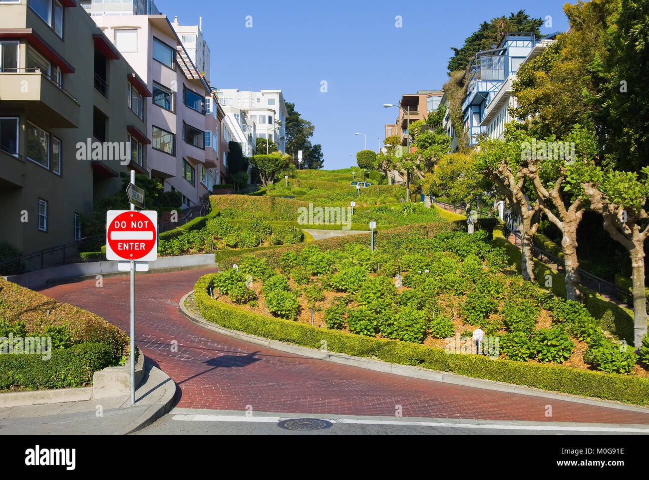 Lombard Street in San Francisco, Kalifornien Stockfoto