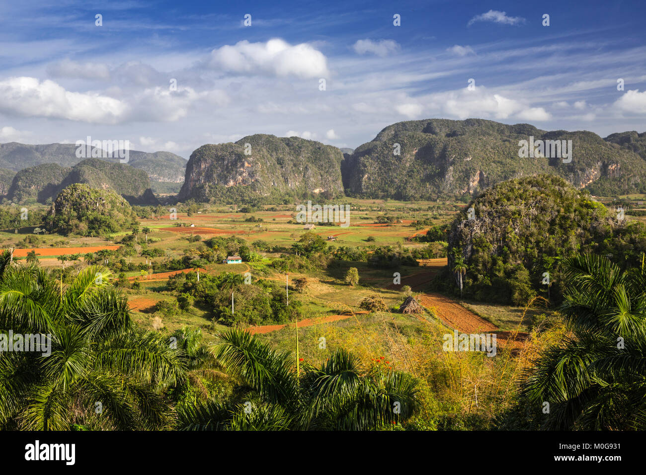 Mogote Landschaft im Tal von Vinales, Kuba Stockfoto