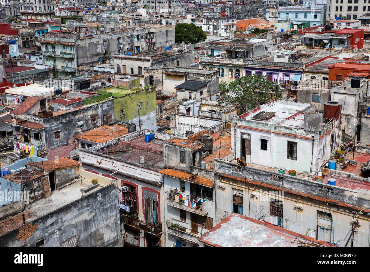 Dachterrasse mit Blick auf die Altstadt von Havanna, Kuba Stockfoto