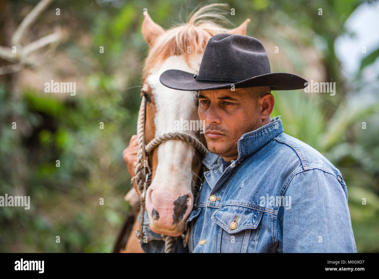Cowboy mit seinem Pferd in Tal von Vinales, Kuba Stockfoto