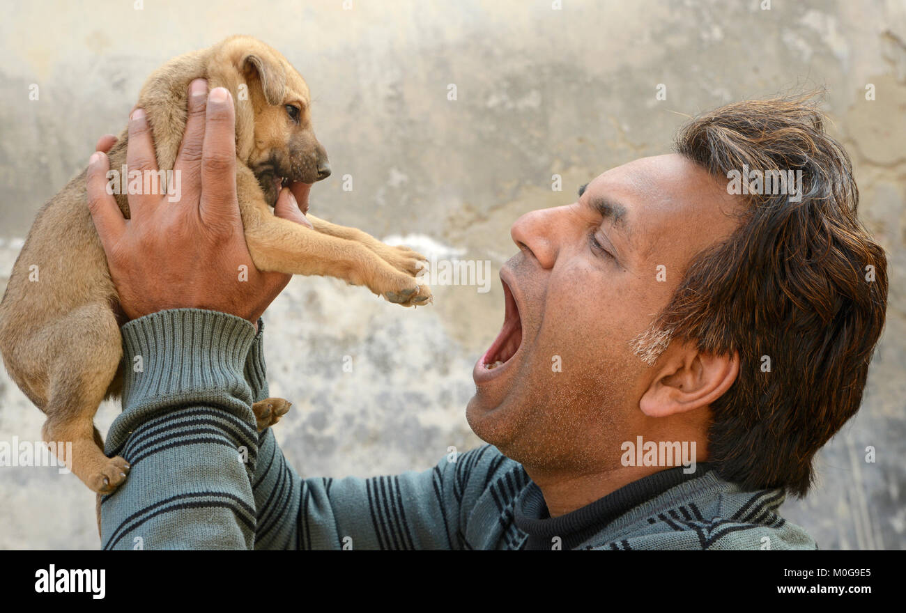 Junge Mann spielt mit hunde Welpen Stockfoto