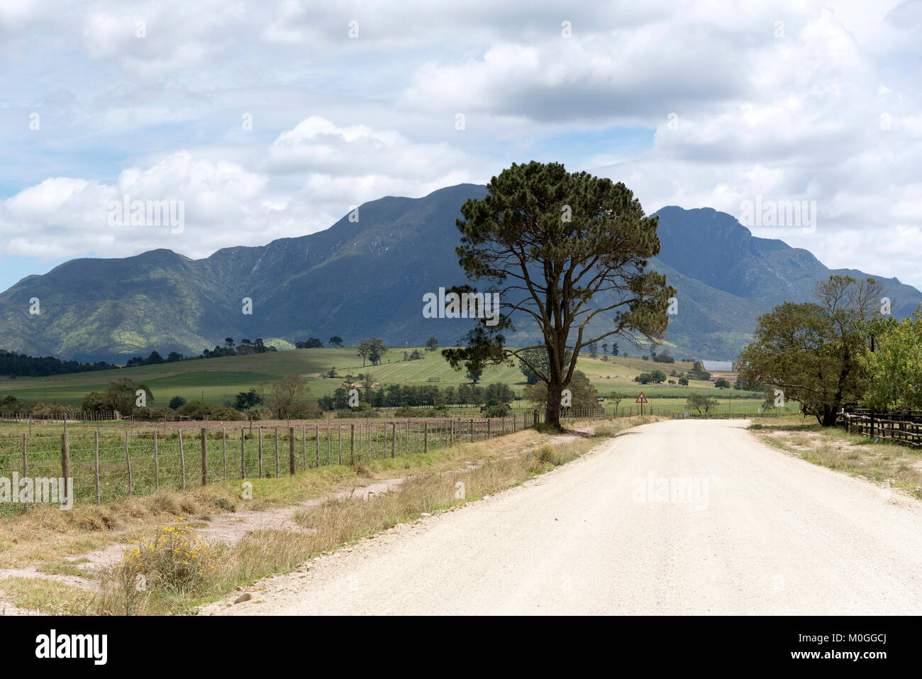 George Western Cape Südafrika. Dezember 2017. Ein Feldweg ländlich reizvollen Lage in der Nähe von George mit einer Kulisse der Outeniqua Berge. Stockfoto