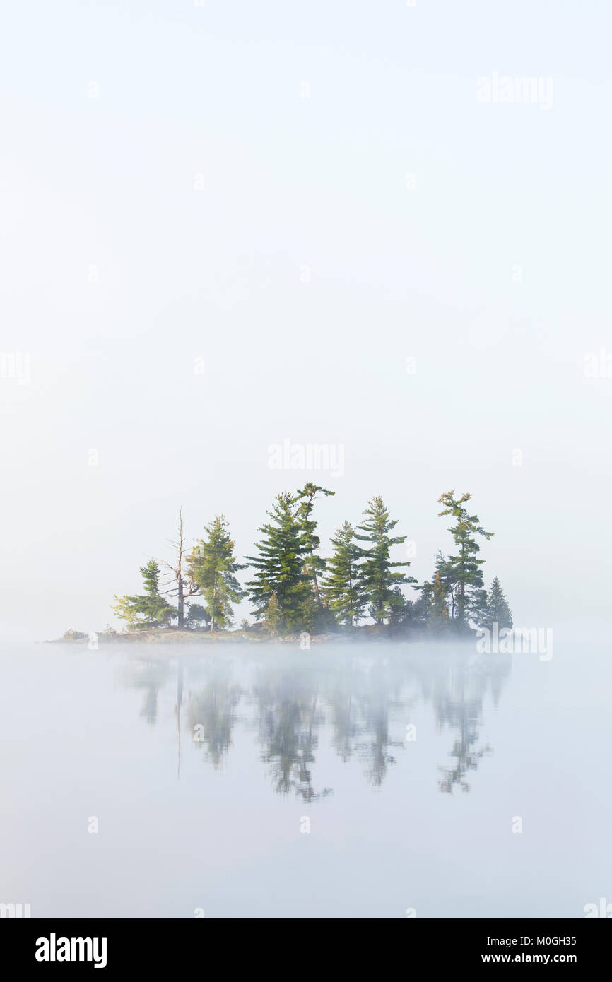 Nebel hüllt eine kleine Insel auf Turtle Lake in Ontario Muskoka Region, in der Nähe von Rosseau; Ontario, Kanada Stockfoto