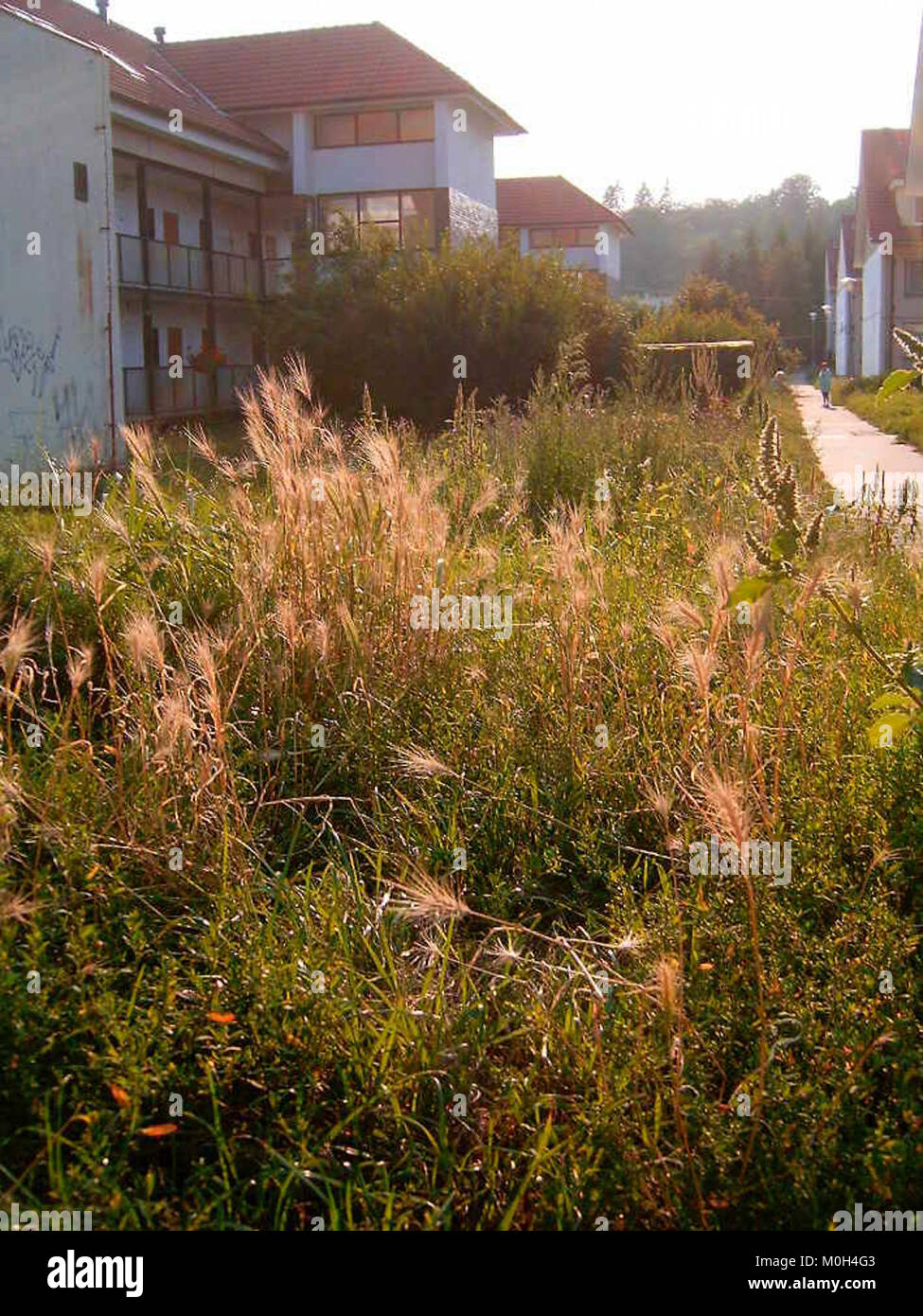 Brünn-Komín ist ein Stadtteil von Brünn in der südmährischen Region der Tschechischen Republik. Der Landkreis umfasst eine Fläche von 7,60 km² und zählte ab 2023 etwa 8.024 Einwohner. Es war ursprünglich das eigenständige Dorf Komín, das 1919 an Brünn annektiert wurde. Das Gelände umfasst eine Mischung aus Wohnsiedlungen, bewaldeten Hängen und Ackerland in der Nähe des Flusses Svratka. Stockfoto