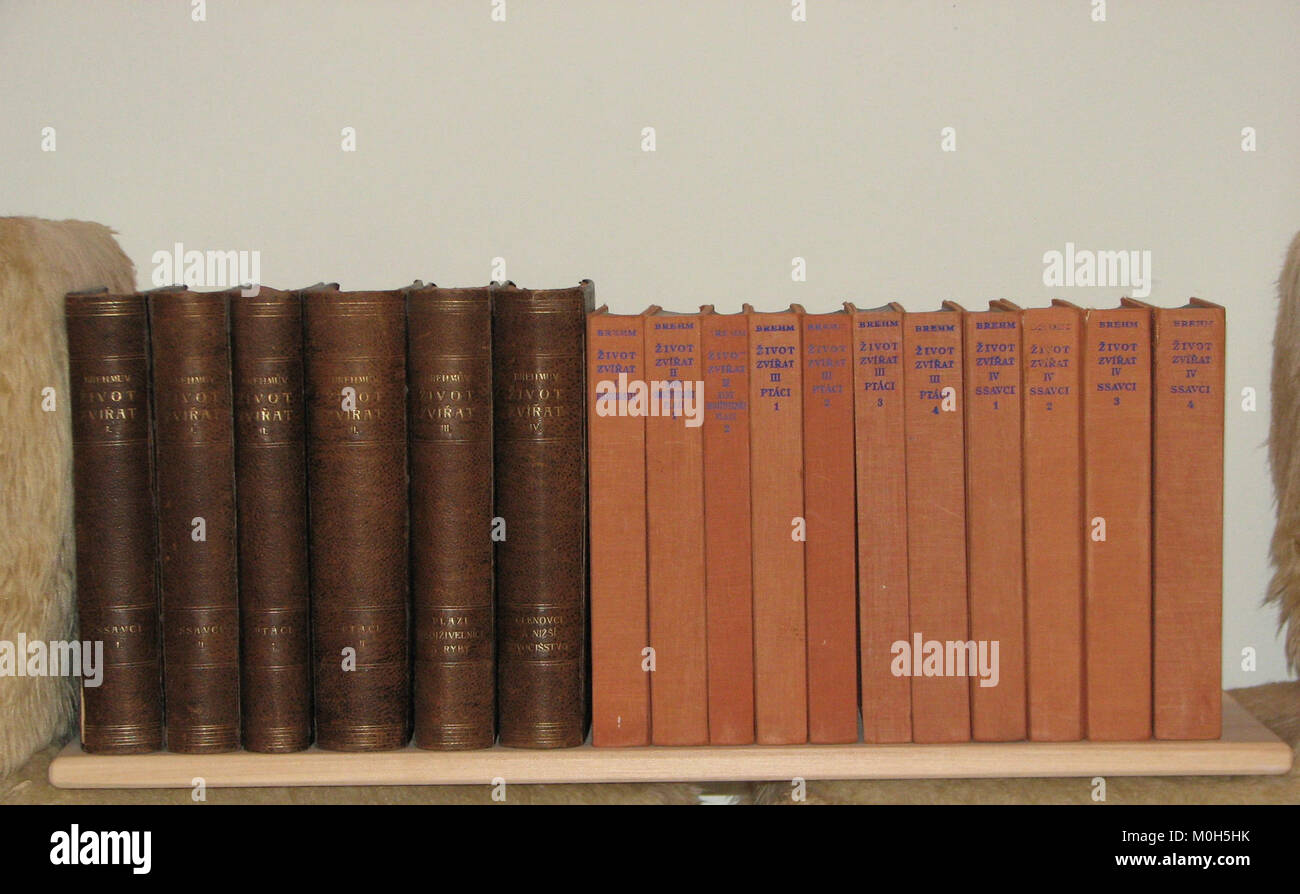 Illustration aus Brehms „Leben der Tiere“, Band 3, zeigt Tierverhalten, Anatomie und Naturgeschichte zu Bildungszwecken. Stockfoto