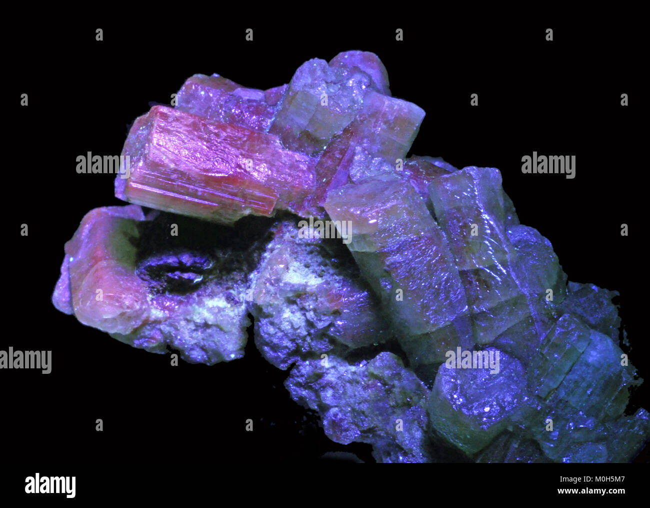 Eine Fotografie der Smaragdsorte beryl unter ultraviolettem Licht aus der Muzo-Mine in Boyacá, Kolumbien, die mineralische Eigenschaften und gemologische Merkmale veranschaulicht. Stockfoto