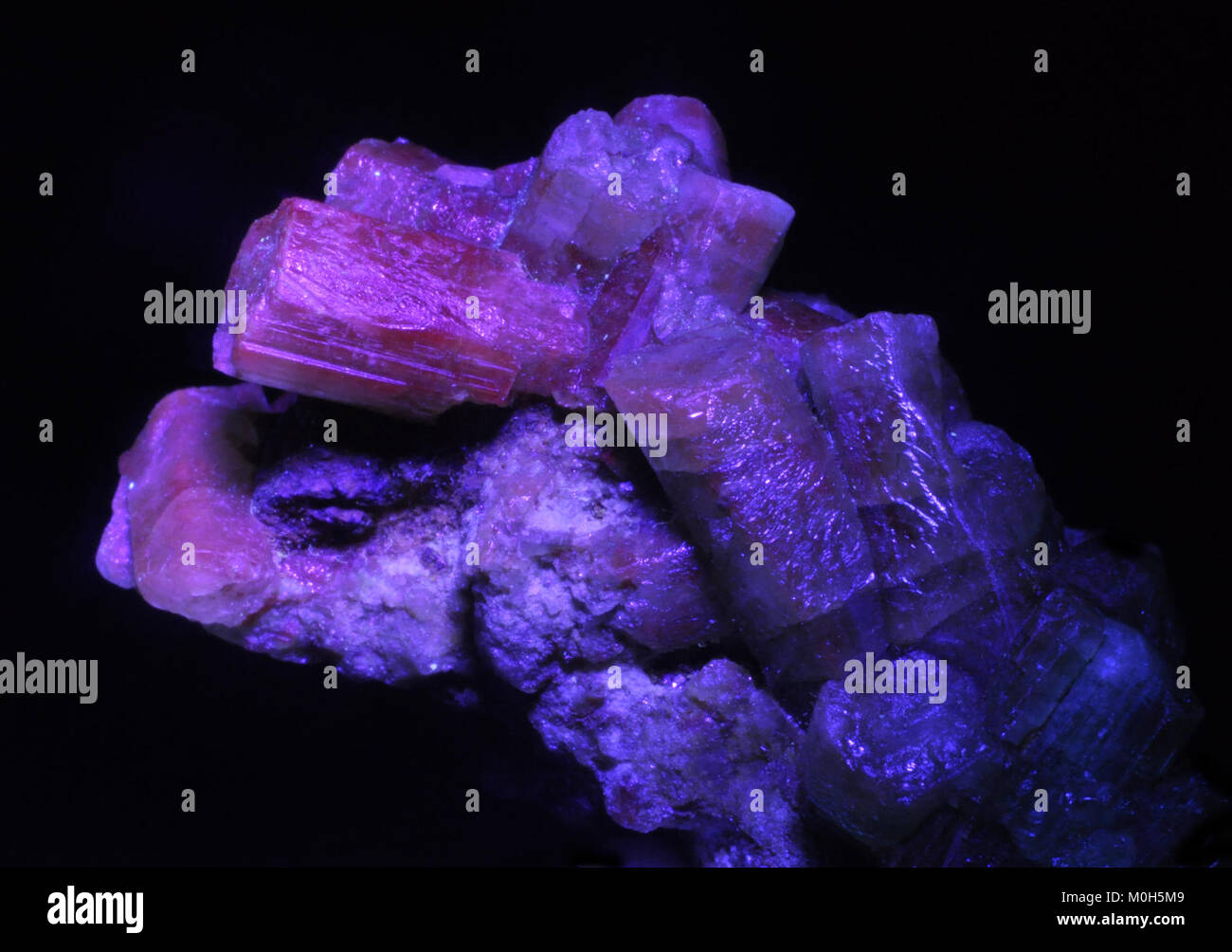 Dieses Bild zeigt beryl, einschließlich Smaragde aus der Muzo-Mine in Boyaca, Kolumbien, unter ultraviolettem Licht, wodurch mineralogische Merkmale und Eigenschaften hervorgehoben werden. Stockfoto
