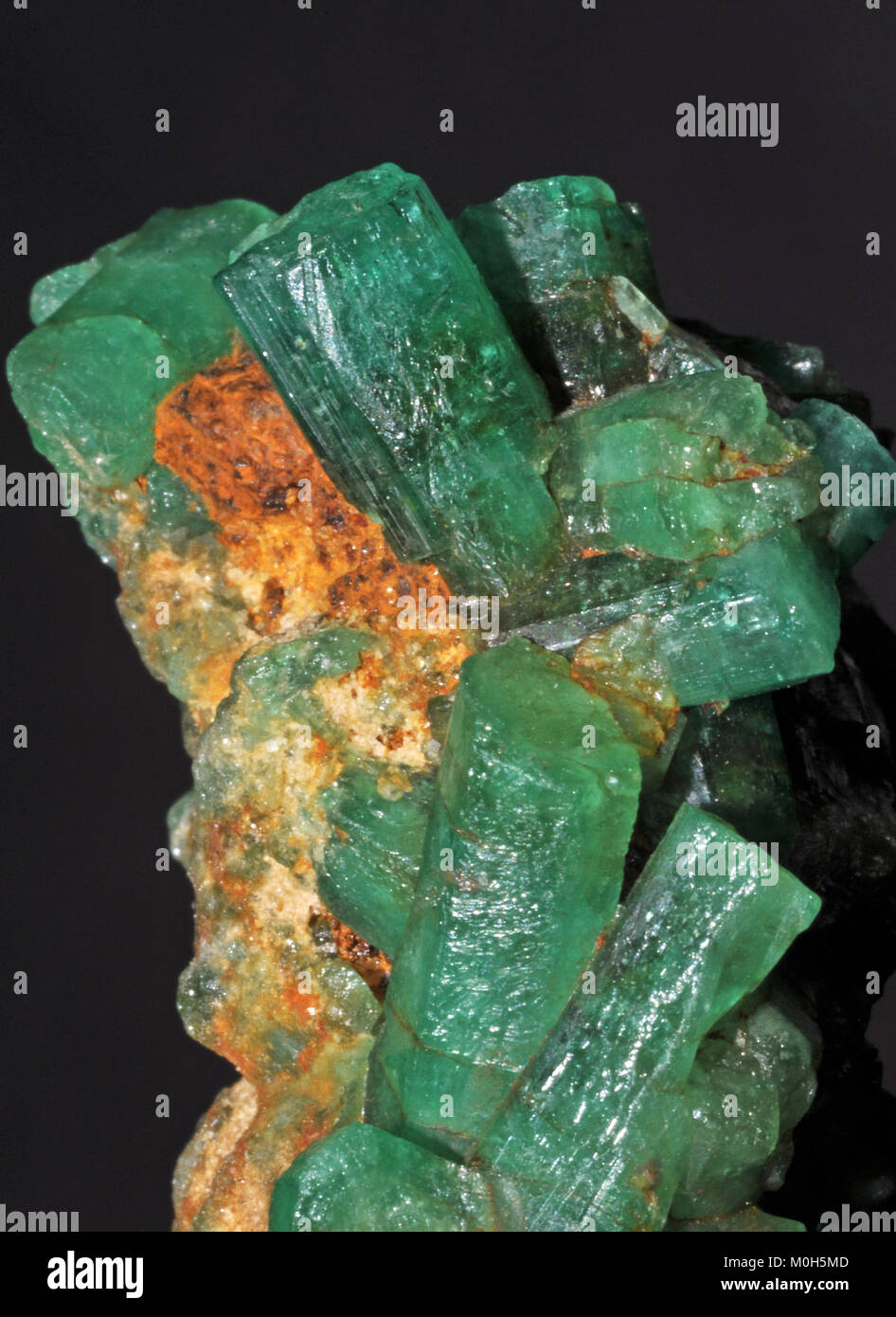Smaragdsorte der beryl-on-Matrix aus der Muzo-Mine, Boyacá, Kolumbien, mit Mineralproben für geologische Studien und gemologische Bedeutung. Stockfoto