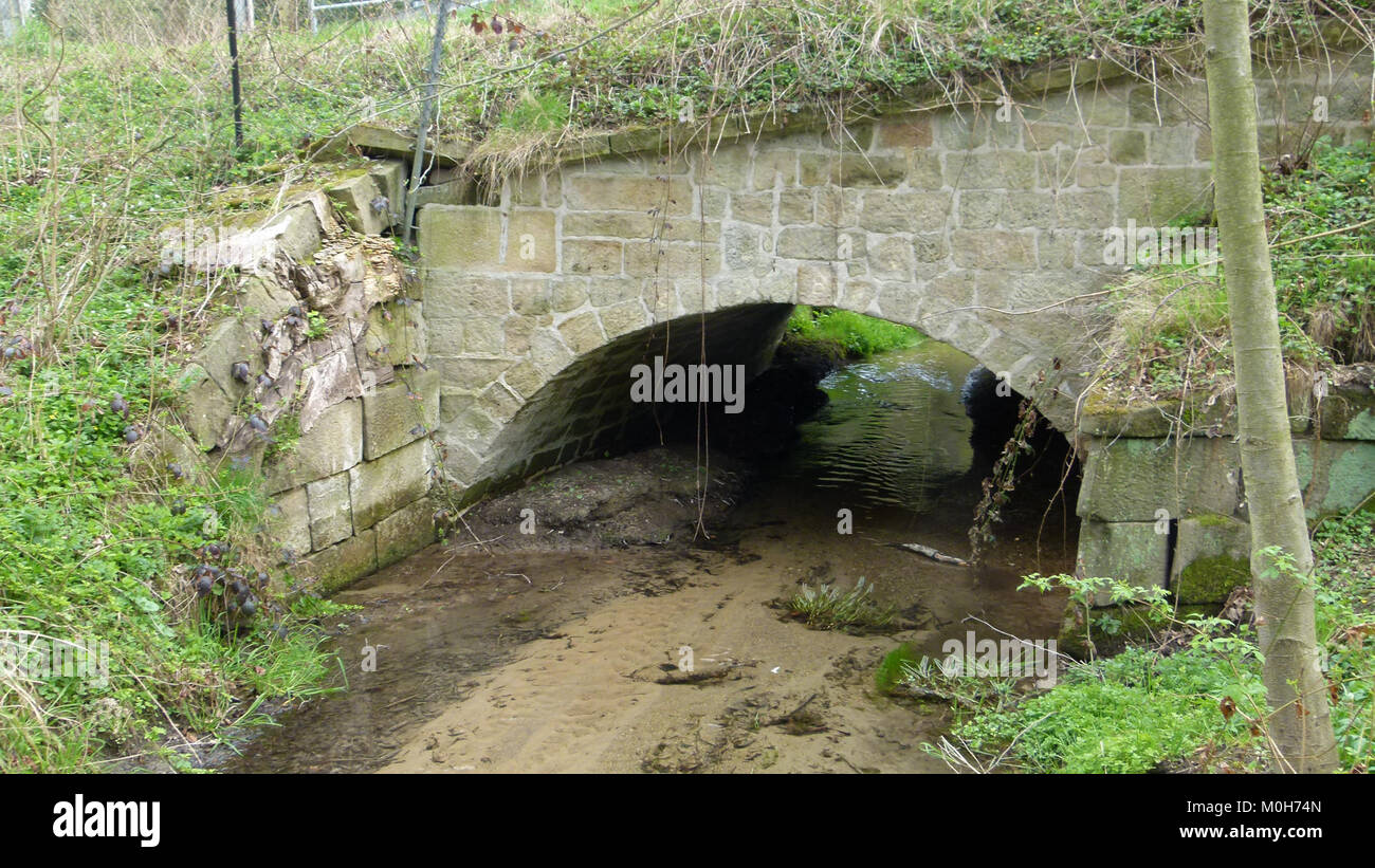 Die Altjesser Brücke bei Jessen, Pirna, ist eine Straßenbrücke, die den Bau von Bauingenieuren und Flussüberquerungen veranschaulicht. Stockfoto