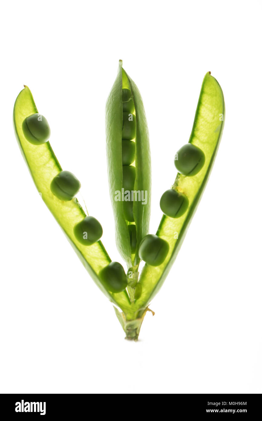 Schöne Komposition mit pea Pods Stockfoto