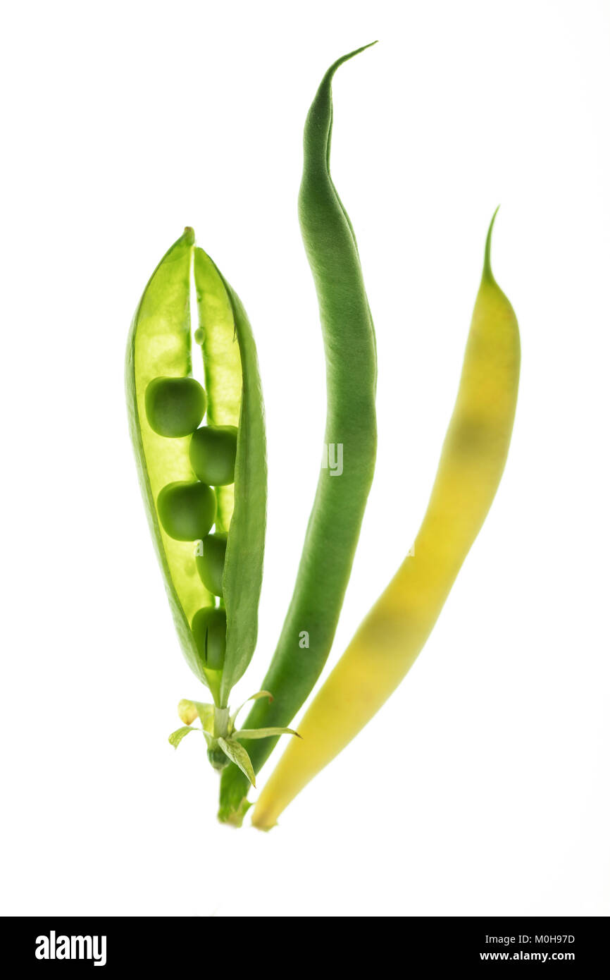Schöne Komposition mit pea Pods Stockfoto
