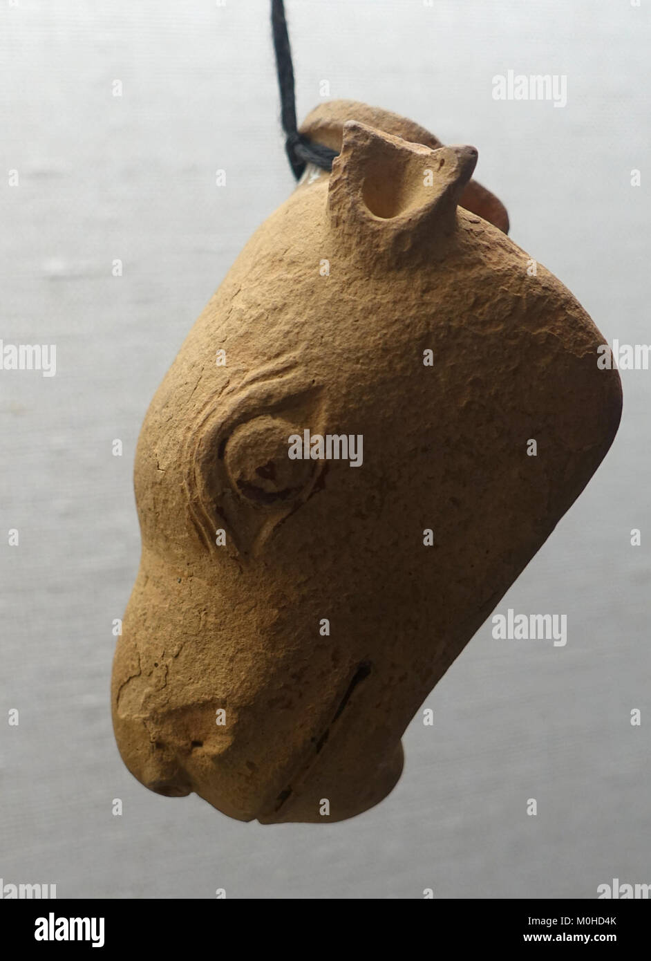 Camel's Kopf, Rhodes, C. 600 v. Chr., L 1444 - Martin von Wagner Museum - Würzburg, Deutschland - DSC 05747 Stockfoto