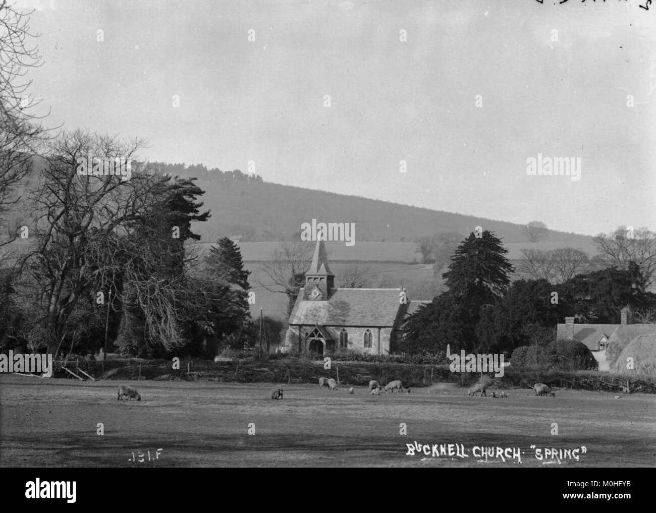 Die Bucknell Church im Dorf Bucknell, England, ist hier im Frühling mit blühenden Hecken, grünem Kirchhof und Steingebäude im normannischen Stil dargestellt, die die Architektur der englischen Pfarrgemeinde und ihre natürliche Umgebung veranschaulichen. Stockfoto