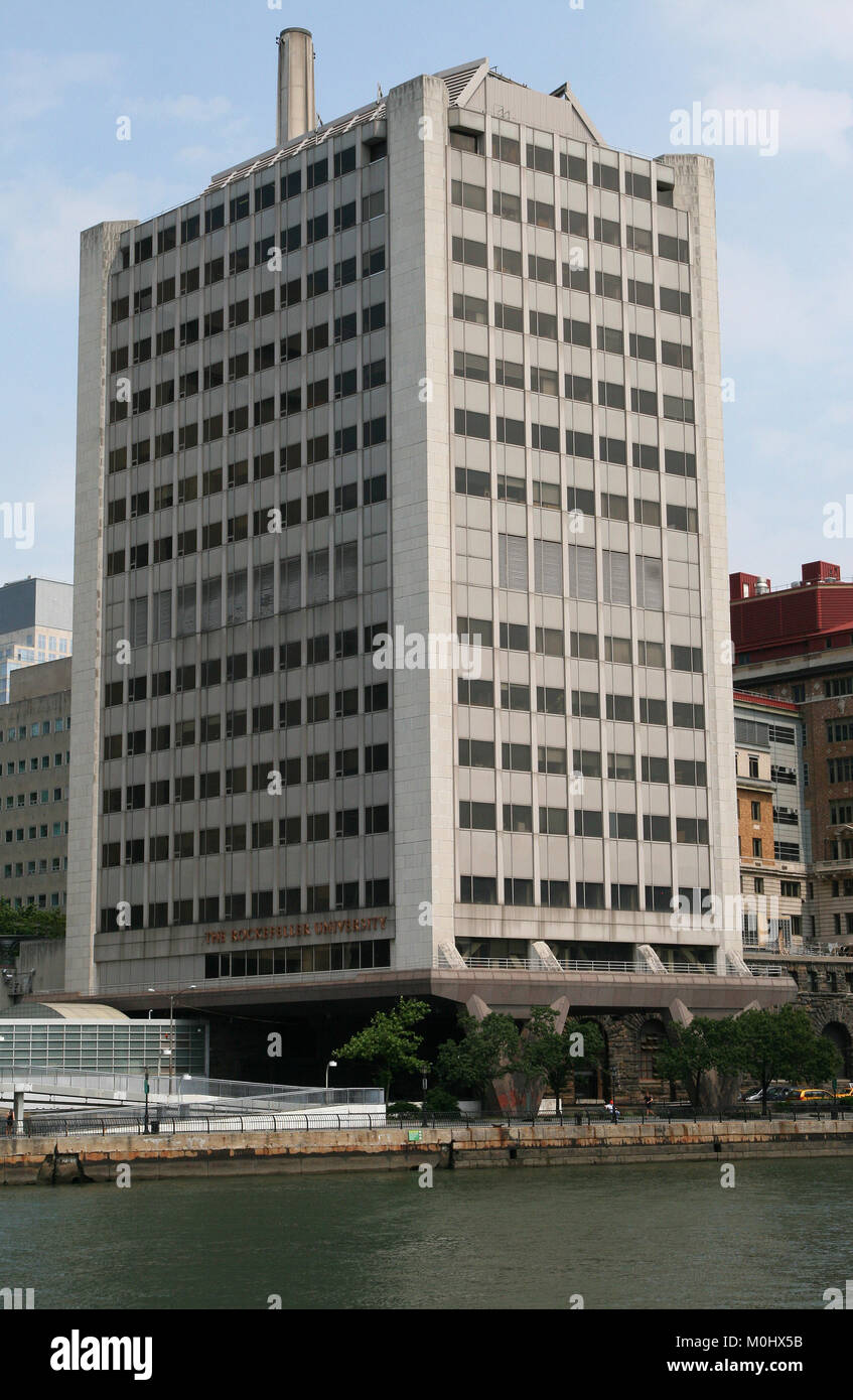 Die Rockefeller University, York Avenue, Upper East Side Manhattan, New York City, New York State, USA. Stockfoto