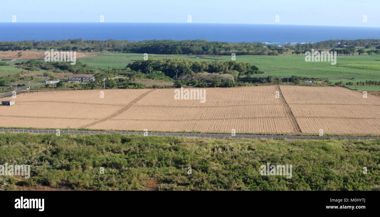 Luftaufnahme von landwirtschaftlich genutzten Feldern in der Nähe von der Küste aus einem Hubschrauber, die Republik von Mauritius. Stockfoto