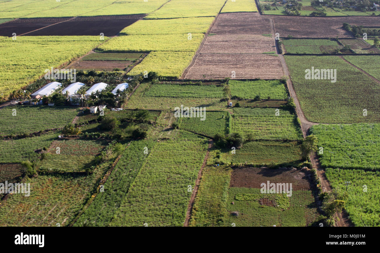 Luftaufnahme von landwirtschaftlich genutzten Feldern und Bauernhöfen aus einem Hubschrauber, die Republik von Mauritius. Stockfoto