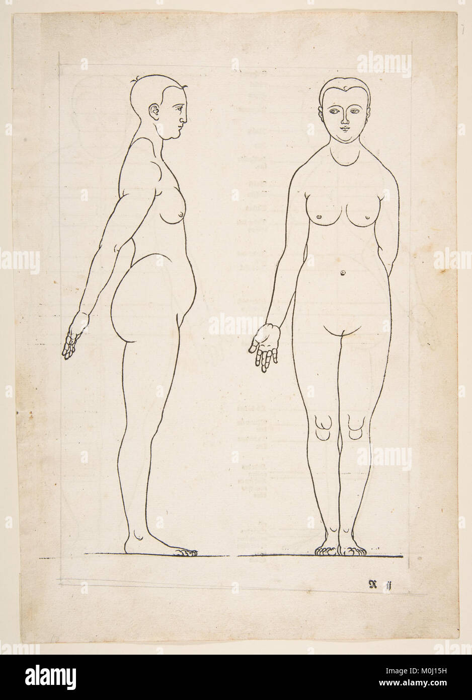 Eine Illustration aus Albrecht Dürers Werk von 1528 *vier Bücher von Menschlicher Proportionen*, eine Abhandlung über Anatomie und künstlerische Proportionen in menschlichen Figuren. Stockfoto
