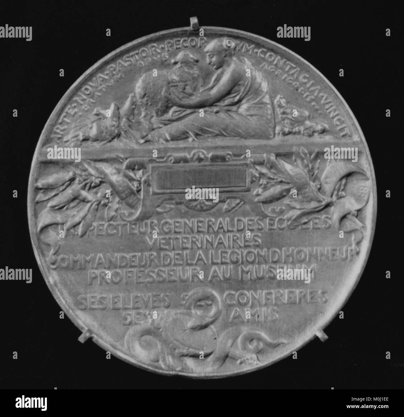Dieses Erinnerungsstück ehrt Henri Bouley, Präsident der Französischen Akademie der Wissenschaften von 1884 bis 85, und würdigt seine Beiträge zur Veterinärwissenschaft und -Bildung. Stockfoto