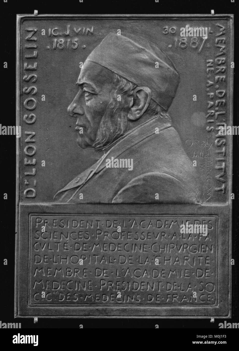 Eine Gedenkstätte, die Dr. Leon Gosselin (1815–1887), dem Präsidenten der Akademie der Wissenschaften, gewidmet ist und seine Beiträge zur medizinischen Wissenschaft und akademischen Leitung im Frankreich des 19. Jahrhunderts würdigt. Stockfoto