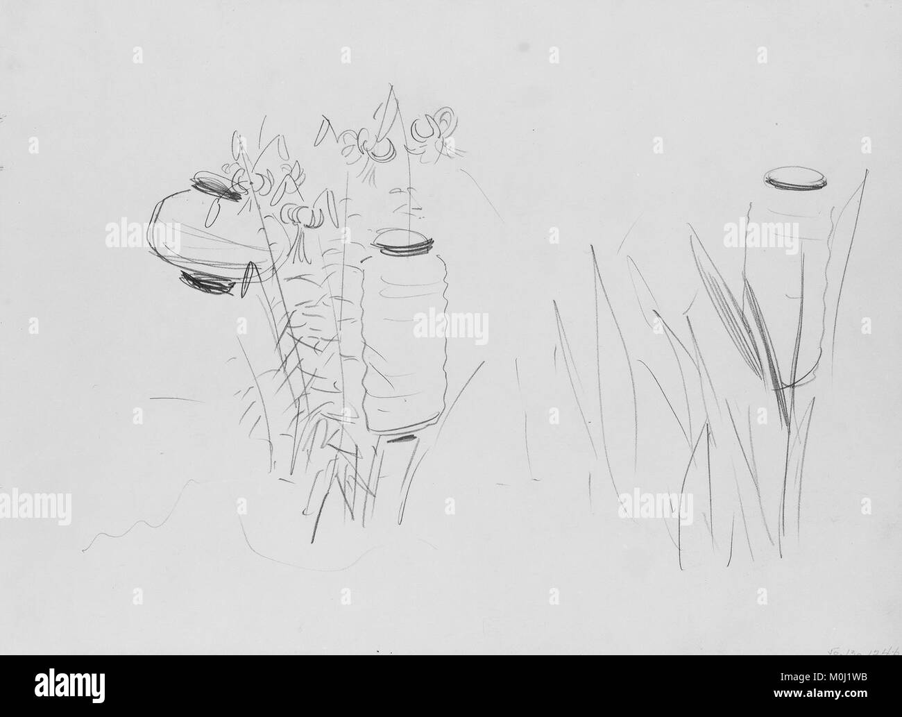 Studie für John Singer Sargents Gemälde Nelke, Lilie, Lilie, Rose, das japanische Laternen und Lilien zeigt und die vorbereitenden Arbeiten für die endgültige Komposition widerspiegelt. Stockfoto