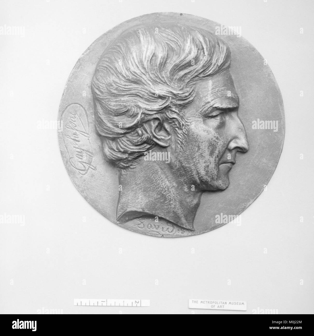 Joseph Louis Gay-Lussac, französischer Arzt und Wissenschaftler (1778 - 1850) 31566 Stockfoto
