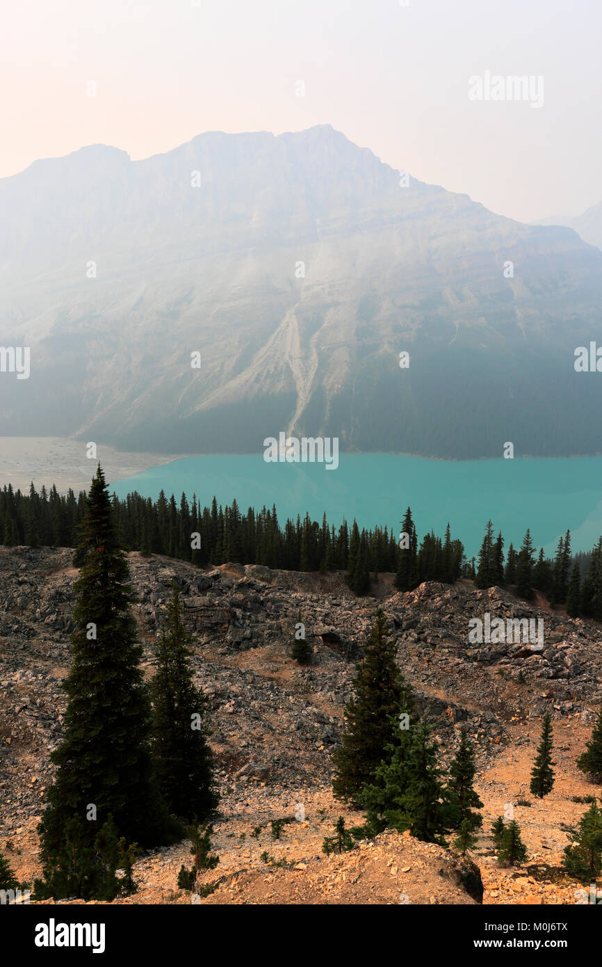 Misty Blick über Peyto Lake, Route 93, Icefields Parkway, Banff Nationalpark und UNESCO-Weltkulturerbe, Rocky Mountains, Alberta, Kanada. Stockfoto