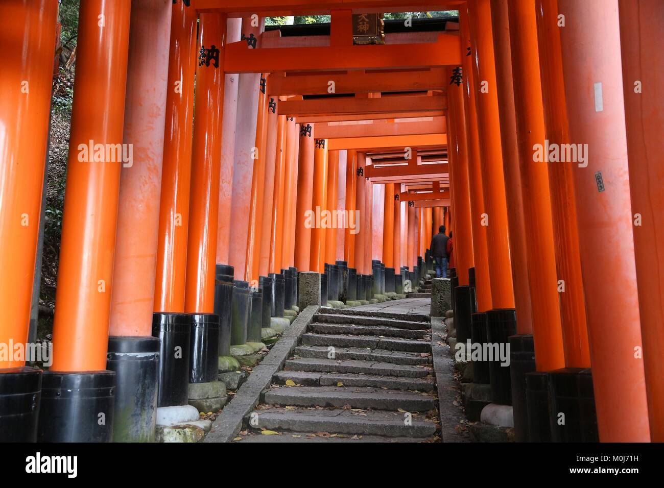 KYOTO, Japan - 28. NOVEMBER 2016: Torii Tore von fushimi Inari Taisha Shrine in Kyoto, Japan. Es gibt mehr als 10.000 torii Gates in Fushimi Inari. Stockfoto