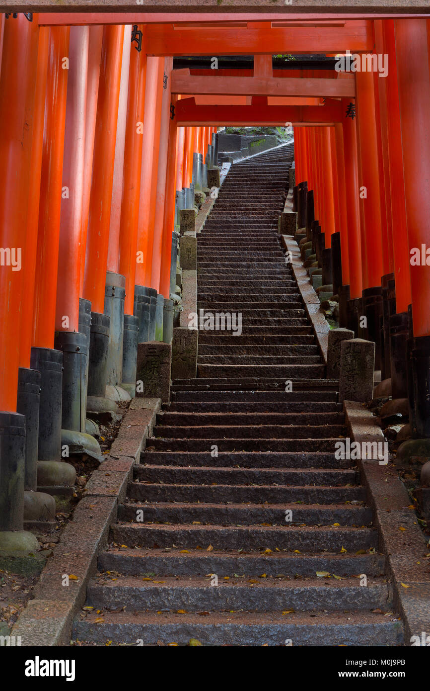 Eine Laterne haengt entlang der Torii Weg des Fushimi Inari in Kyoto, Japan. Stockfoto