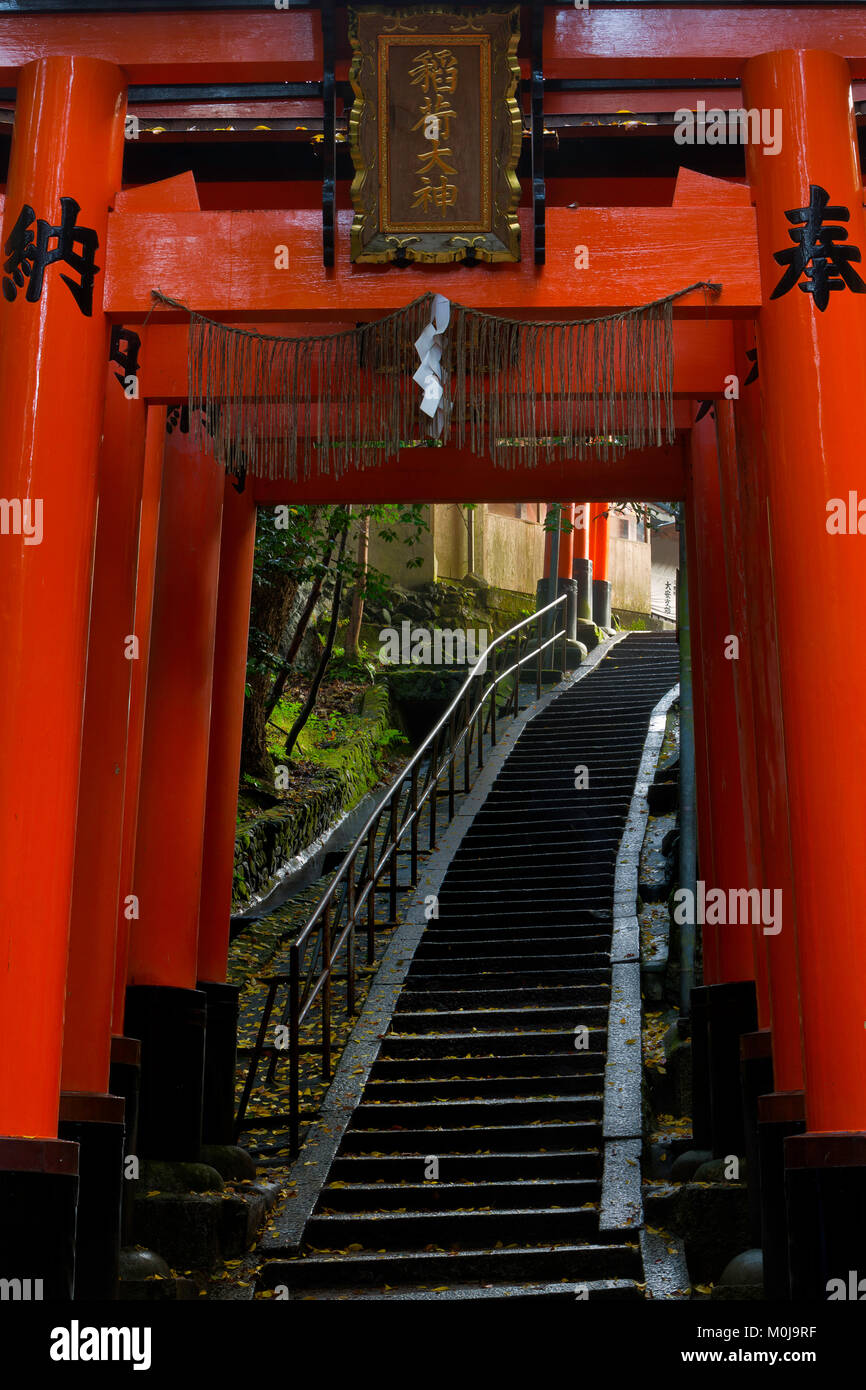 Eine Laterne haengt entlang der Torii Weg des Fushimi Inari in Kyoto, Japan. Stockfoto