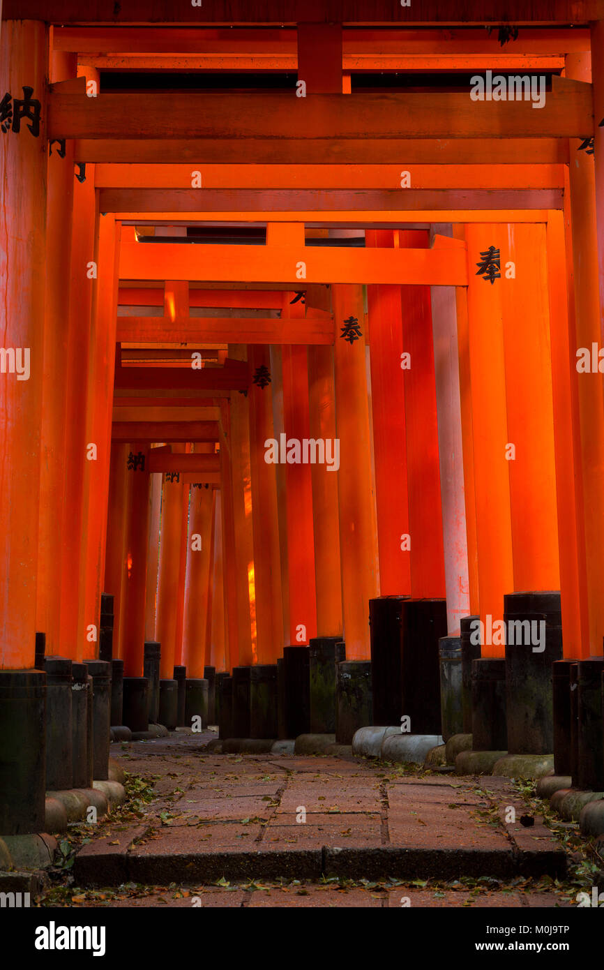Eine Laterne haengt entlang der Torii Weg des Fushimi Inari in Kyoto, Japan. Stockfoto