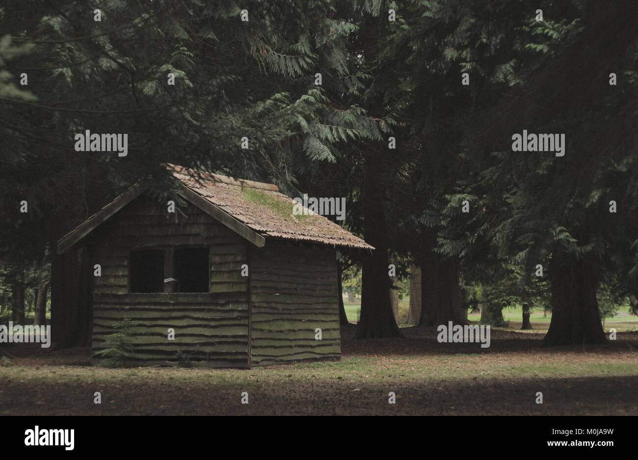 Was liegt in Store? Zuflucht? Oder etwas Finsterer... Stockfoto