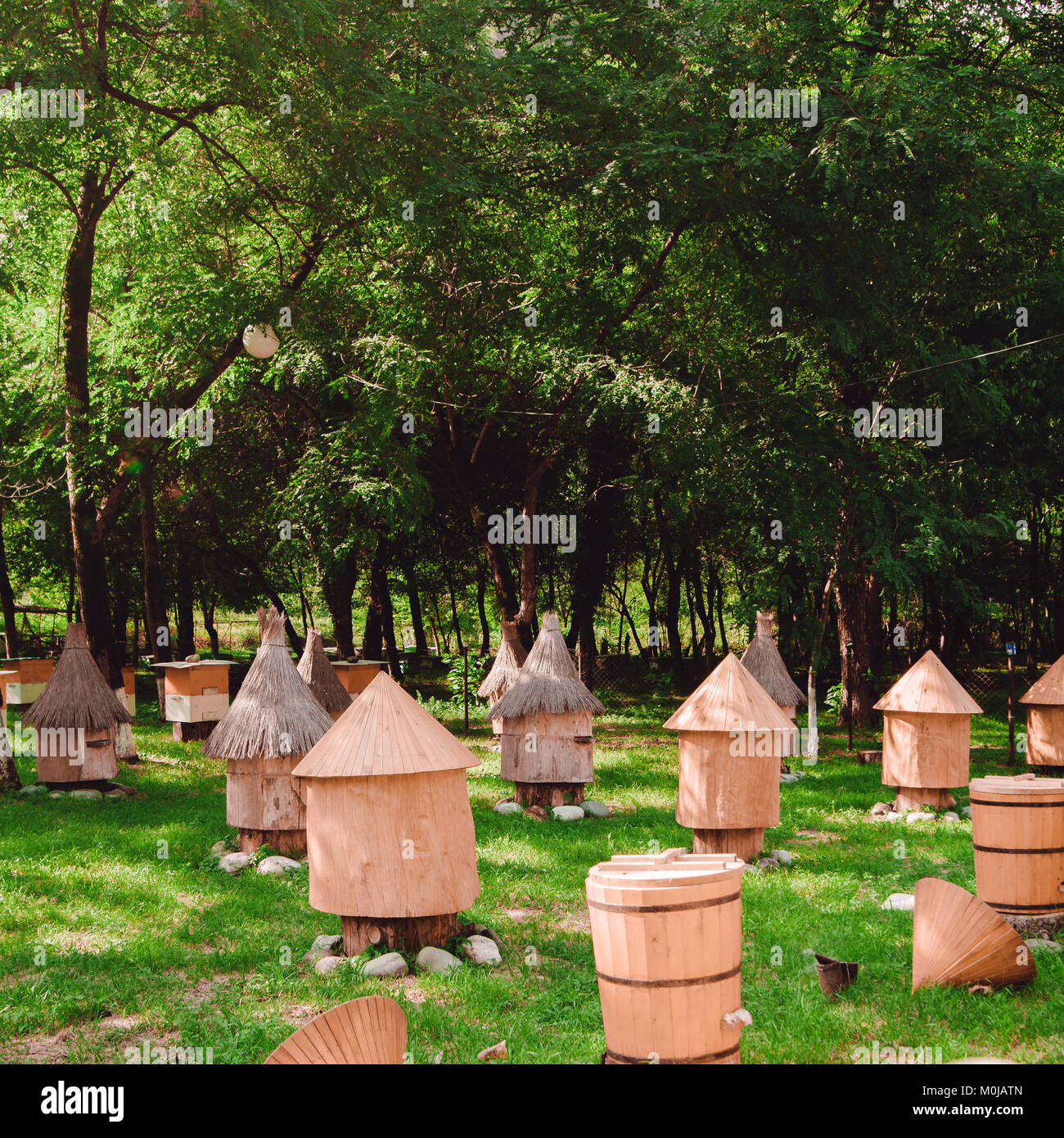Holz- Bienenstock, für die imkerei Landwirtschaft Stockfoto