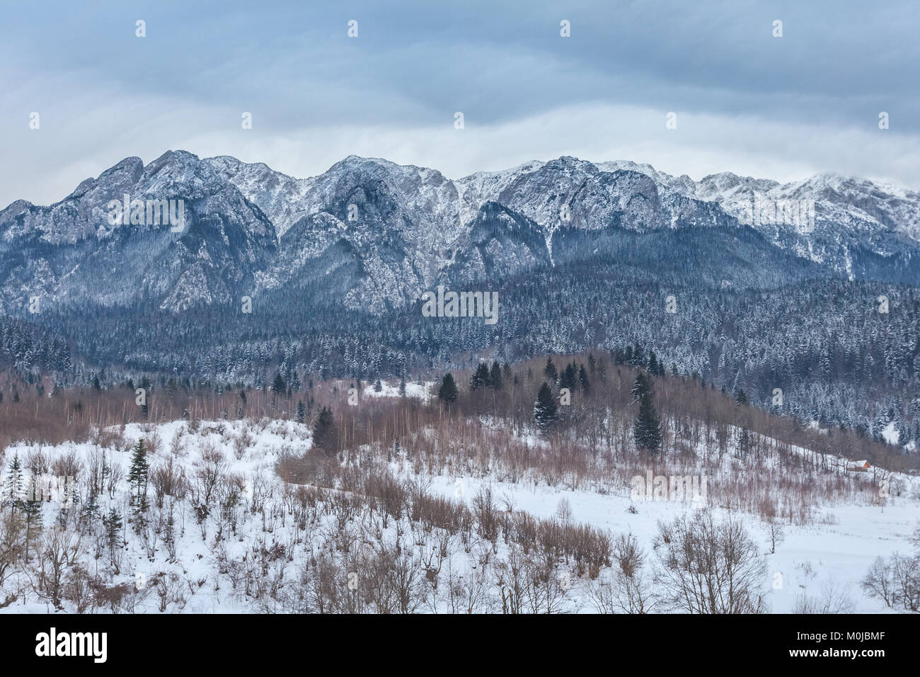 Berglandschaft im Winter. Piatra Craiului Bergen, Rumänien Stockfoto