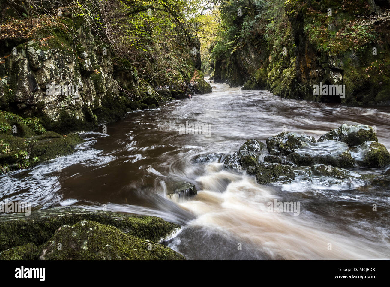 Die Fairy Glen ist eine wunderschöne hölzerne Dingle auf dem Fluss Conway in der Nähe von Betws-y-Coed, in Conwy County Borough. Stockfoto