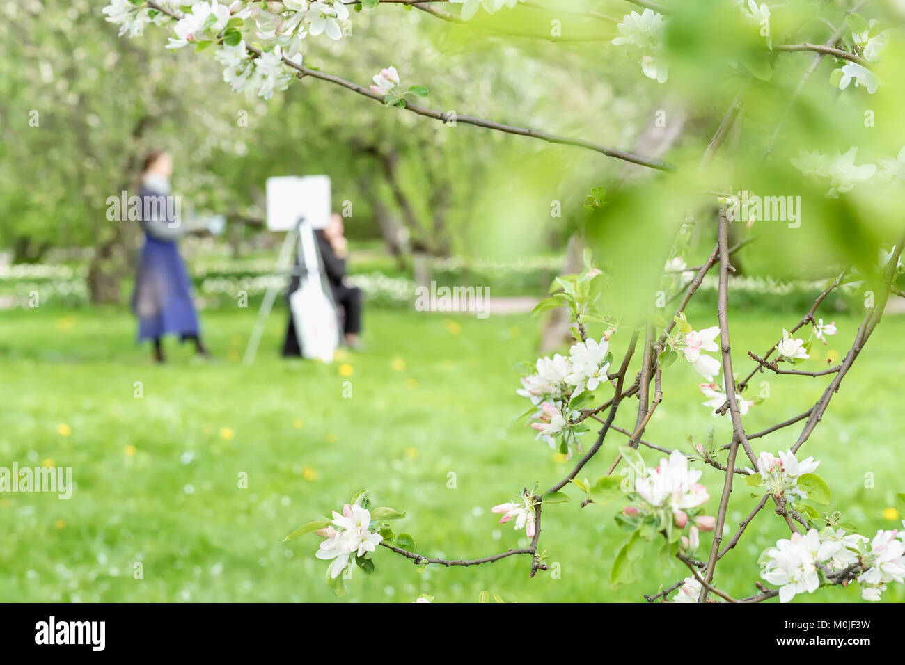 Mädchen malt Gemälde auf Leinwand der Staffelei im Park mit blühenden Sakura. Verschwommenes Bild für den Frühling kreative Hintergrund Stockfoto