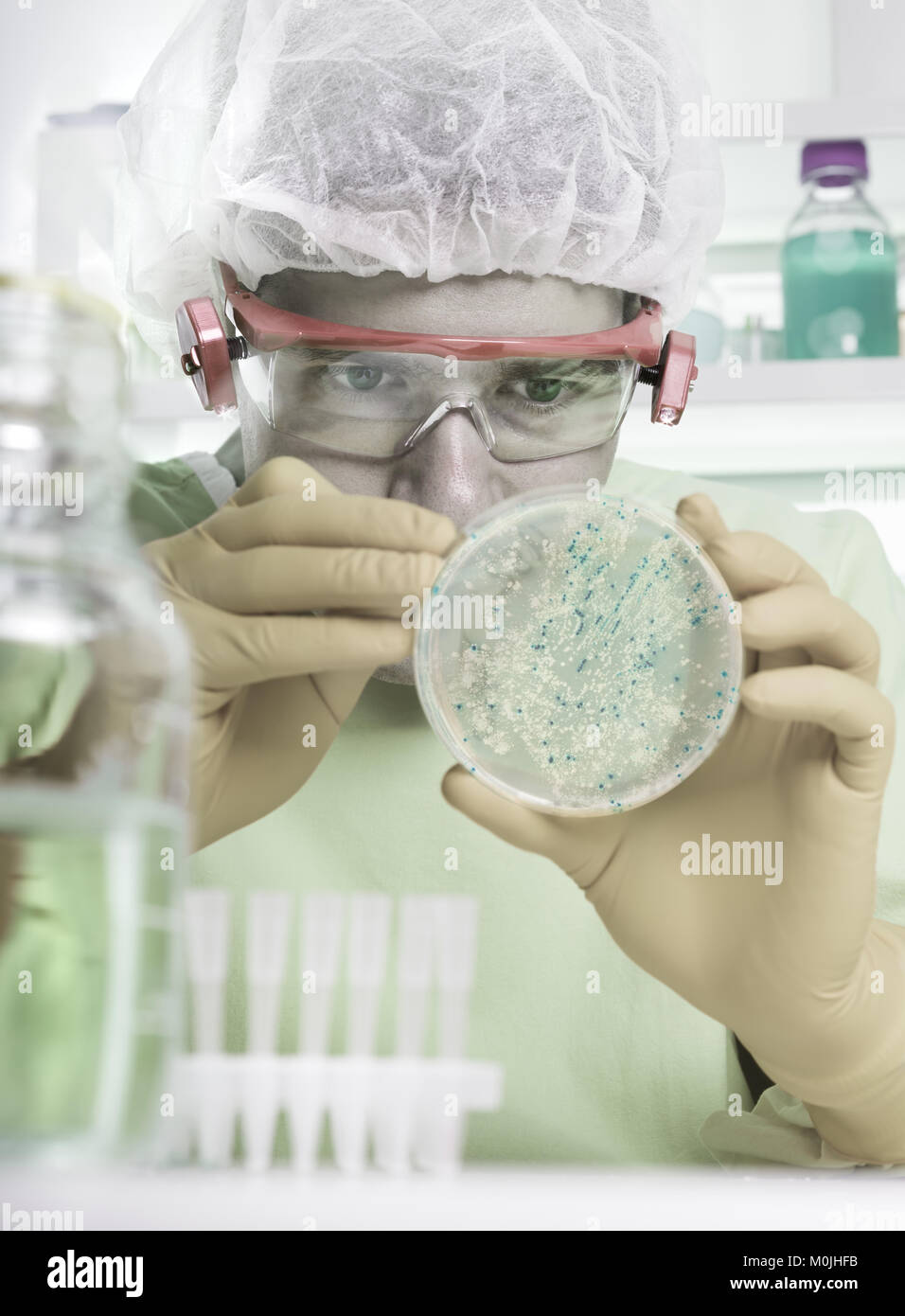 Mikrobiologe in Schutz nimmt Bakterienkolonien Stockfoto