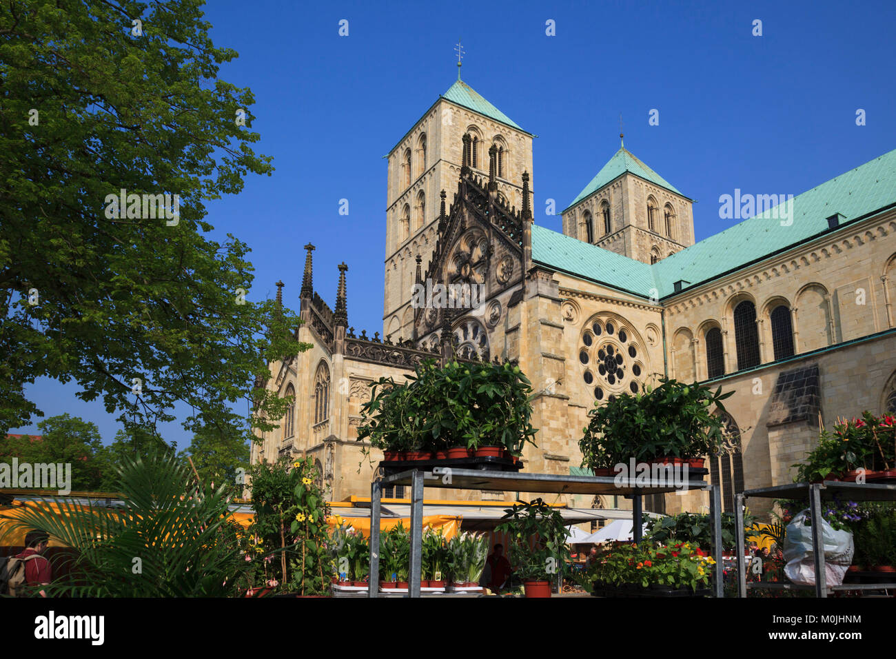 St. Paulus-Dom, Münster mit den Bauern, Münster, Westfalen, Nordrhein-Westfalen, Deutschland Stockfoto