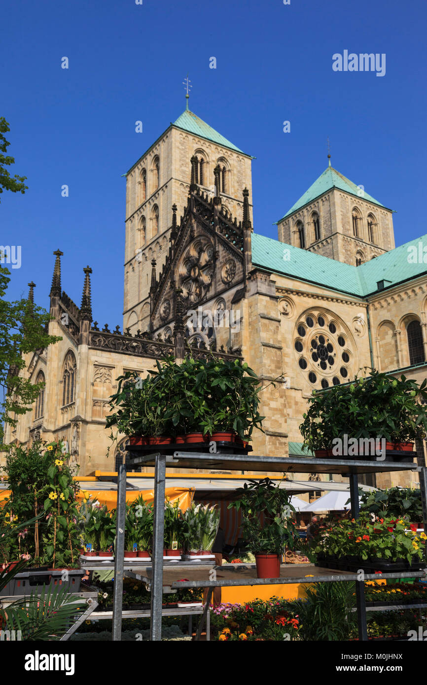 St. Paulus-Dom, Münster mit den Bauern, Münster, Westfalen, Nordrhein-Westfalen, Deutschland Stockfoto