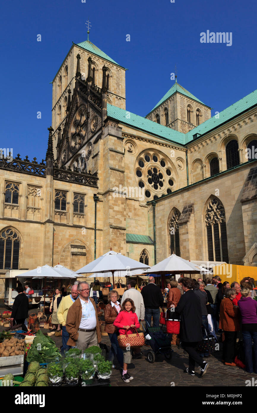 St. Paulus-Dom, Münster mit den Bauern, Münster, Westfalen, Nordrhein-Westfalen, Deutschland Stockfoto